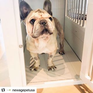 Photo by allforwan_shop_official