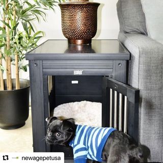 Photo by allforwan_shop_official