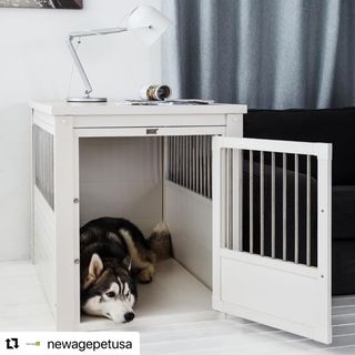Photo by allforwan_shop_official