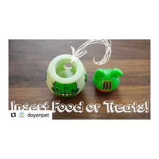 Photo by allforwan_shop_official