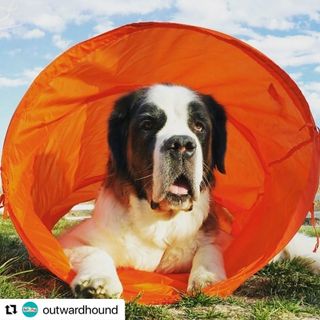 Photo by allforwan_shop_official