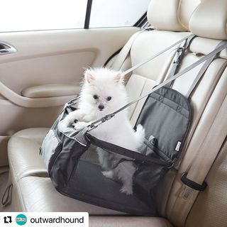 Photo by allforwan_shop_official