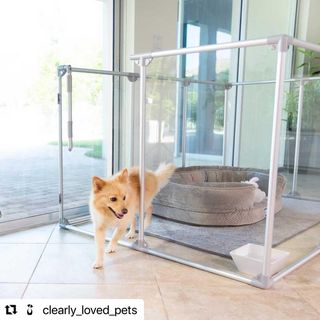 Photo by allforwan_shop_official