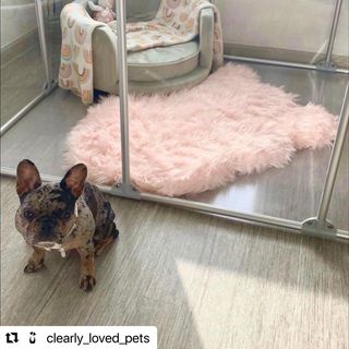 Photo by allforwan_shop_official