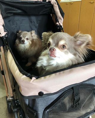 Photo by renn_nagi