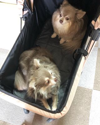 Photo by renn_nagi