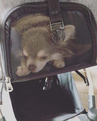 Photo by renn_nagi