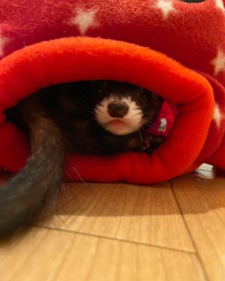 Photo by cono_cola