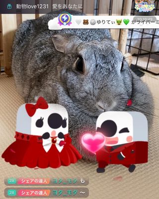 Photo by kuu.and.woo