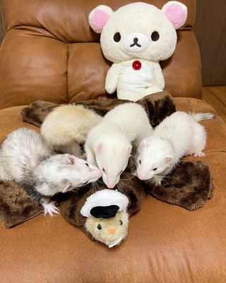 Photo by fnaccho