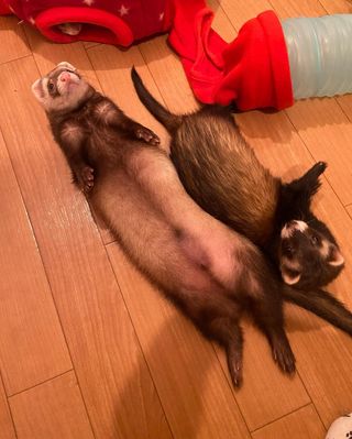 Photo by cono_cola