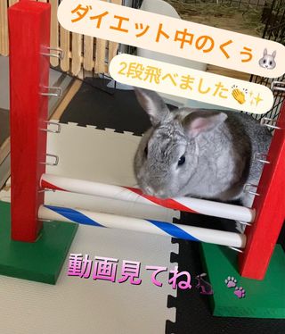 Photo by kuu.and.woo