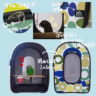 Photo by lucas_dusky_conure
