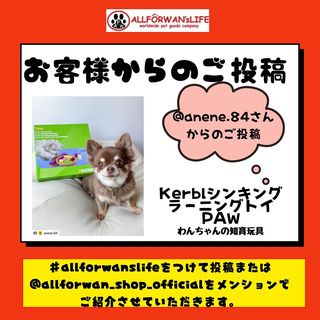 Photo by allforwan_shop_official