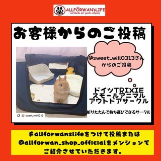 Photo by allforwan_shop_official