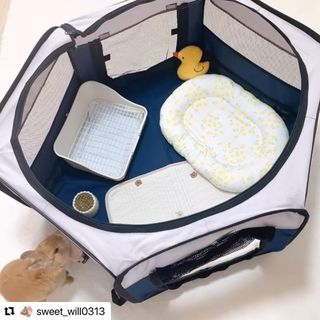 Photo by allforwan_shop_official