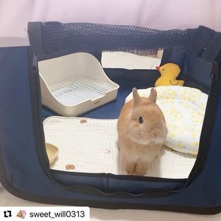 Photo by allforwan_shop_official