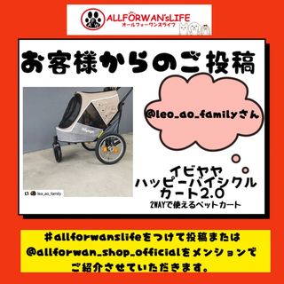 Photo by allforwan_shop_official