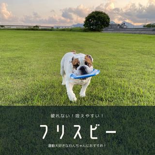 Photo by bulldog.ippei.genpachi