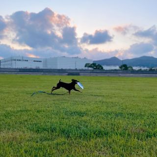 Photo by bulldog.ippei.genpachi