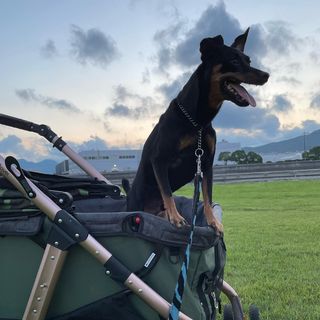 Photo by bulldog.ippei.genpachi