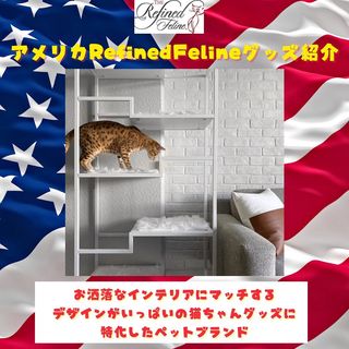 Photo by allforwan_shop_official