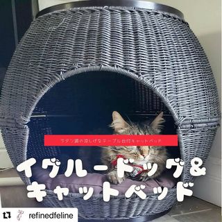 Photo by allforwan_shop_official
