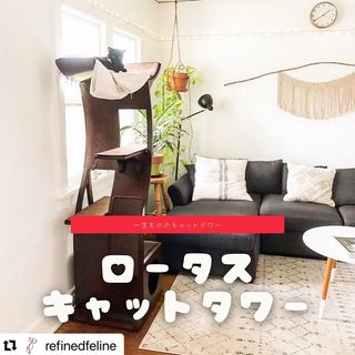 Photo by allforwan_shop_official