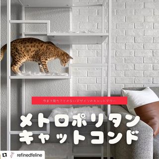 Photo by allforwan_shop_official