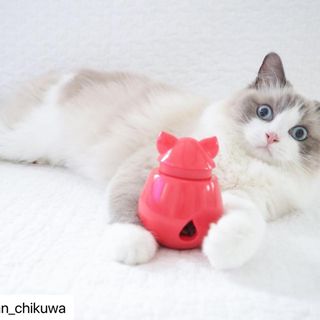 Photo by allforwan_shop_official