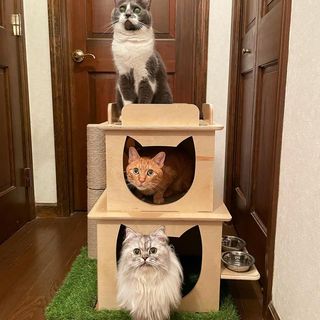 Photo by allforwan_shop_official