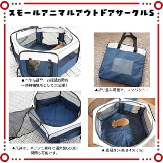 Photo by allforwan_smallanimal