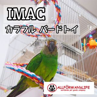 Photo by lucas_dusky_conure