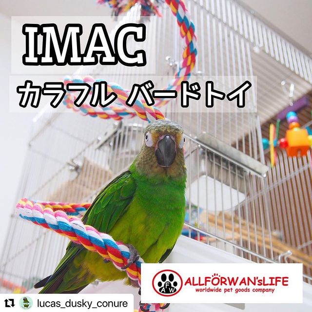 Photo by allforwan_shop_official
