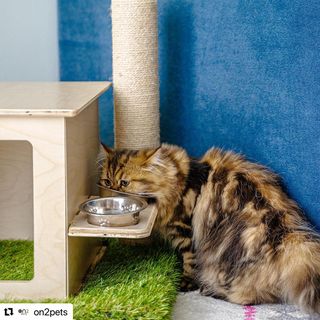 Photo by allforwan_shop_official