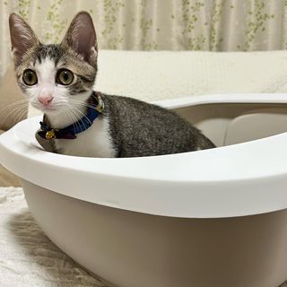 Photo by uluchiigram