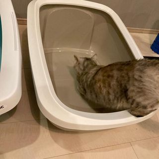Photo by panna_minuet