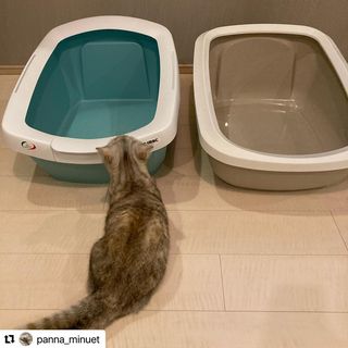 Photo by allforwan_shop_official