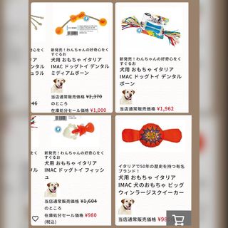 Photo by bulldog.ippei.genpachi