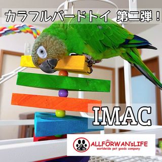 Photo by lucas_dusky_conure