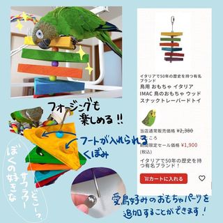 Photo by lucas_dusky_conure