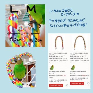 Photo by lucas_dusky_conure