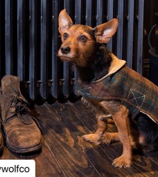 Photo by allforwan_shop_official