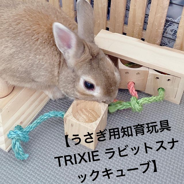 実物 小動物ケージ フランスからついに日本上陸 小動物用 ケージ フランスzolux ハムスターケージ Rody3 デュオ ホワイト Www Brasilcasaeconstrucao Com Br