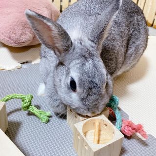 Photo by kuu.and.woo