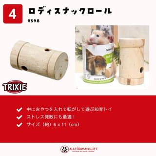 Photo by allforwan_smallanimal