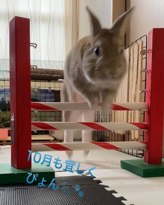 Photo by kuu.and.woo