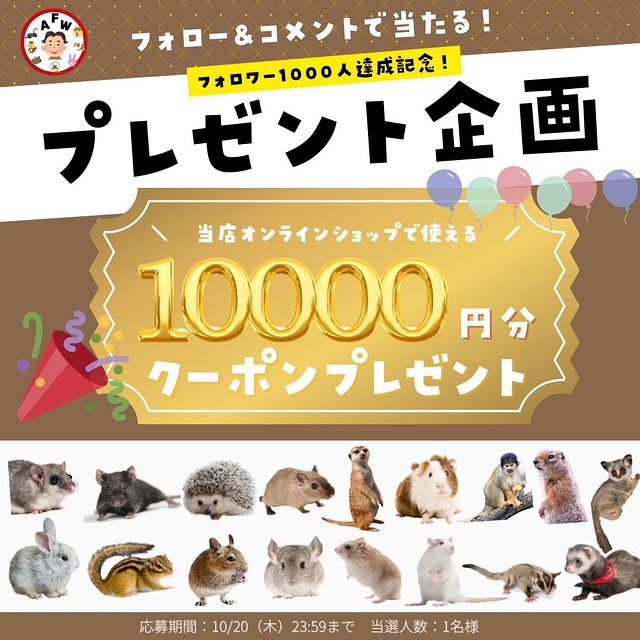 ALLFORWAN'sLIFE小動物用 トイレ Marshalpetマーシャルペット フェレットトイレ フェレットリッターパンハイバック