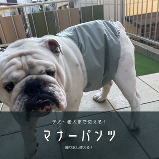 Photo by bulldog.ippei.genpachi