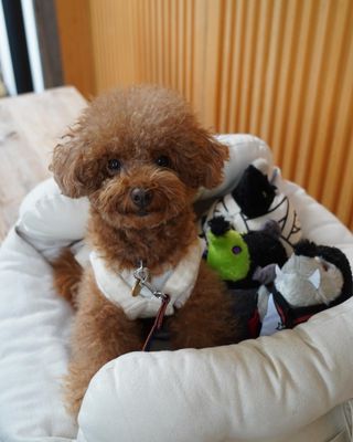 Photo by mimi.20200311